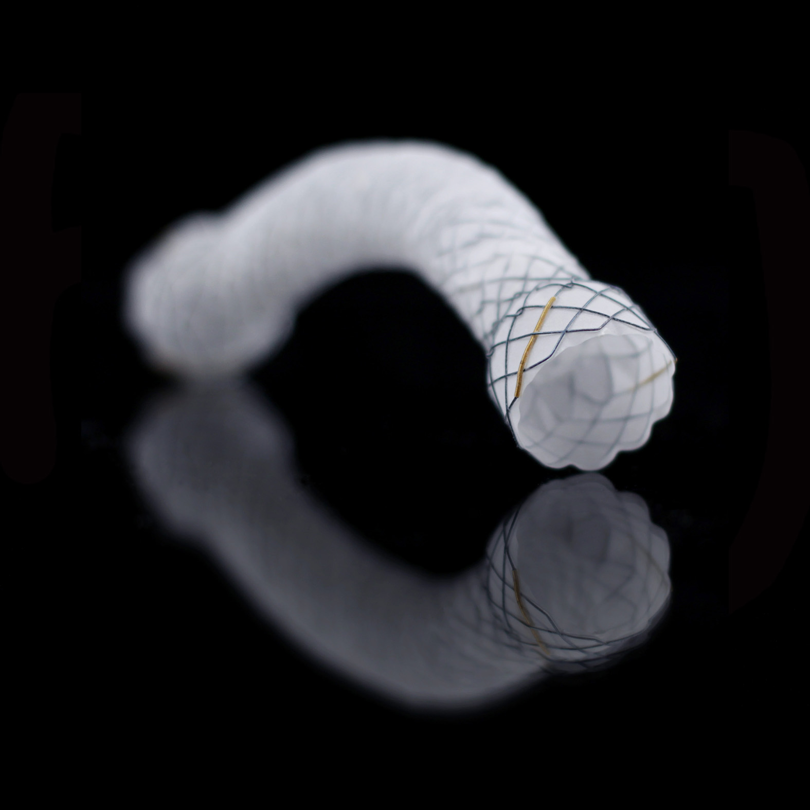 BCM HILZO BİLİYER STENT (KAPLI/PARSİYEL KAPLI/KAPSIZ)