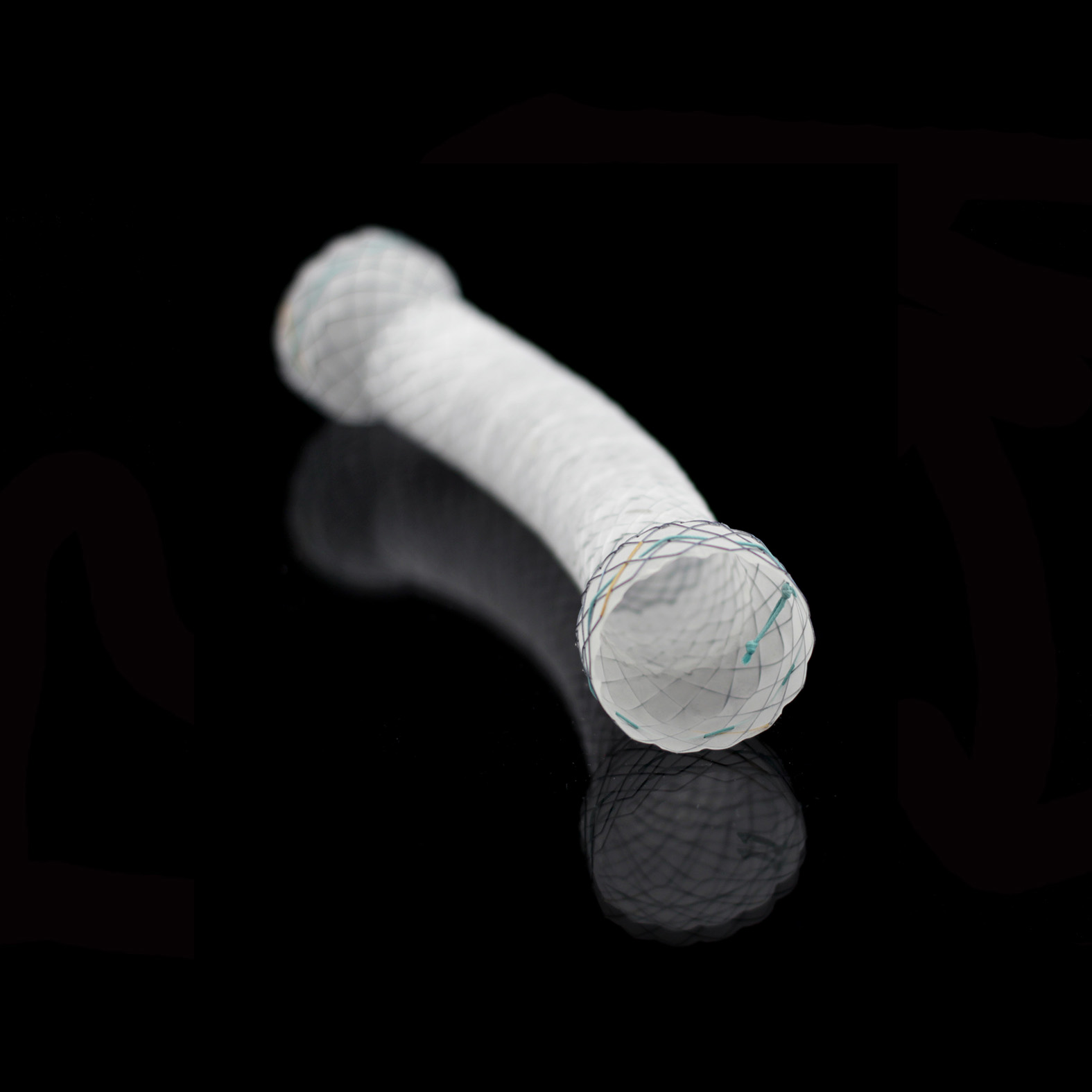 BCM HILZO  BARIATRIK STENT