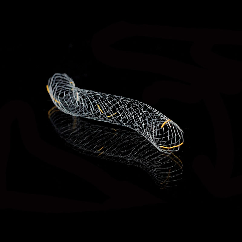 BCM HILZO KAPSIZ STENT 