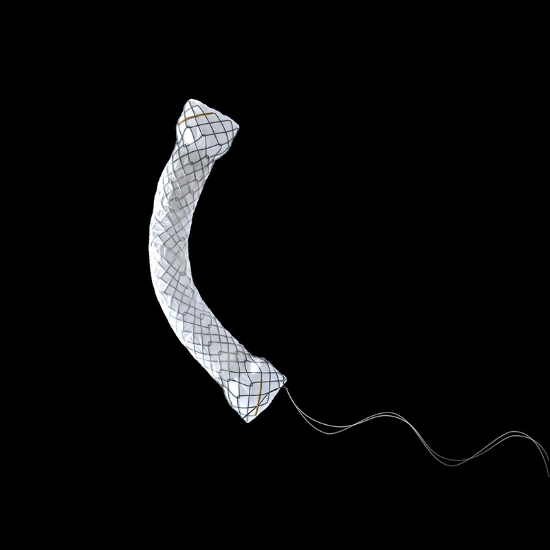 BCM HILZO JENGU STENT