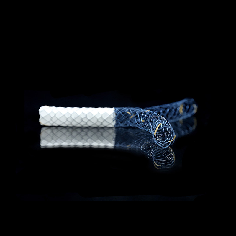 BCM HILZO SEASSAK STENT