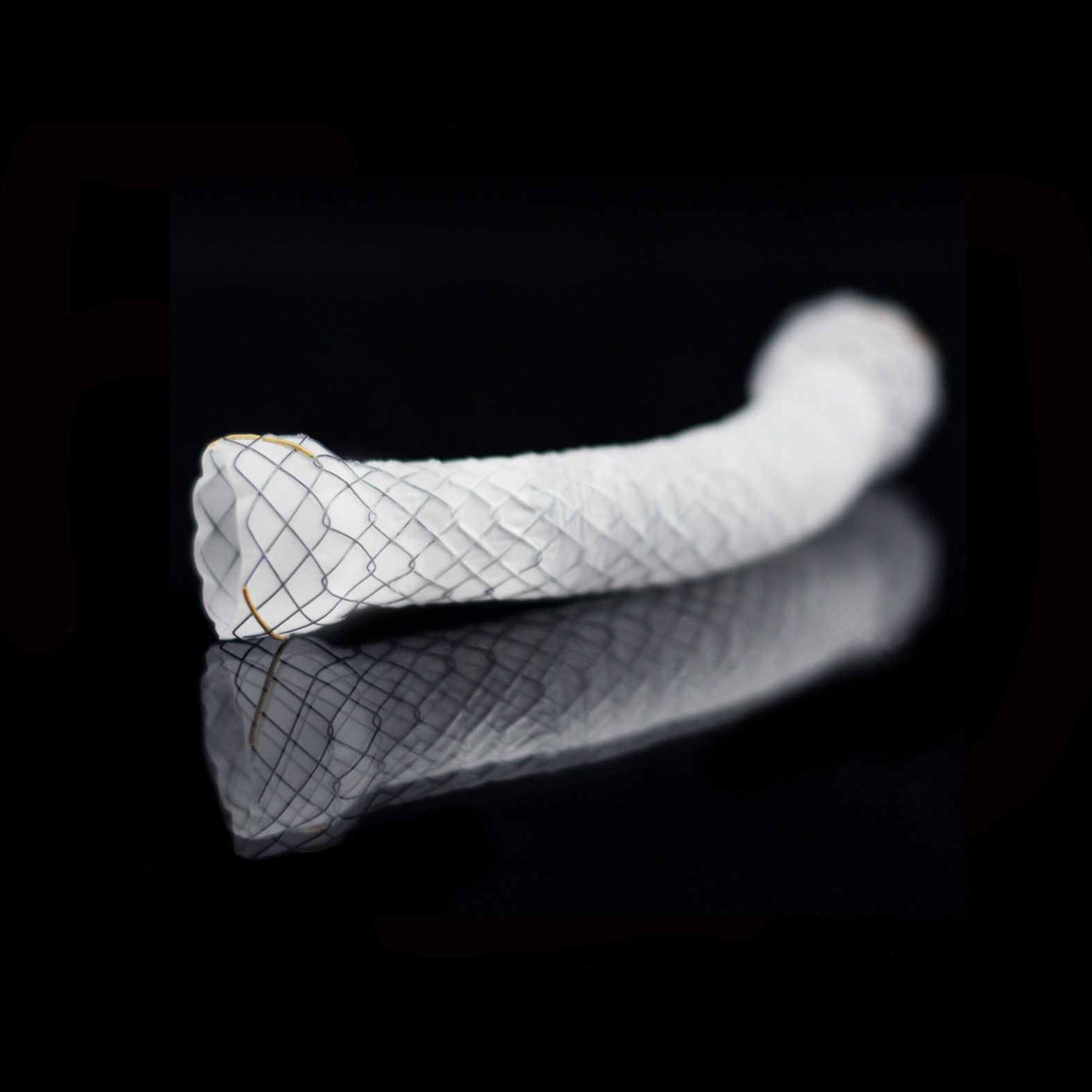 BCM HILZO KAPLI STENT